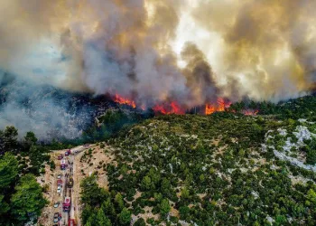 Manavgat’taki büyük yangın 8’inci gününde