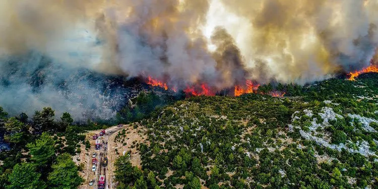 Manavgat’taki büyük yangın 8’inci gününde