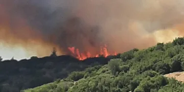 Aynı bölgede bir ayda 10’uncu yangın