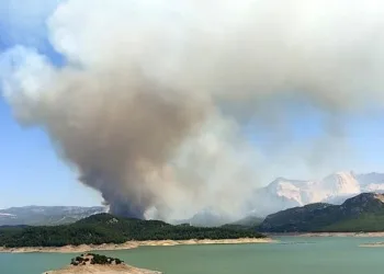 Bir ilde daha orman yangını