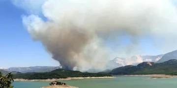 Bir ilde daha orman yangını