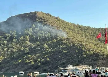 Datça’da yangın çıkan ormanlık alandaki torpiller çocuklarınmış