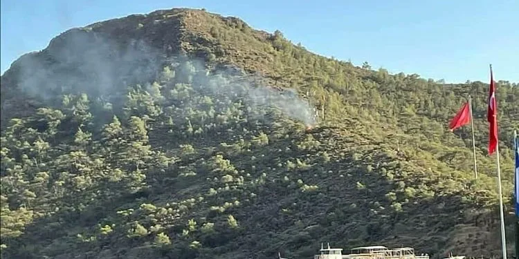 Datça’da yangın çıkan ormanlık alandaki torpiller çocuklarınmış