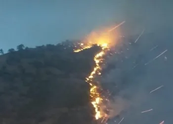 Tunceli’deki örtü yangını kontrol altında