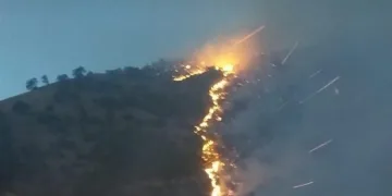 Tunceli’deki örtü yangını kontrol altında