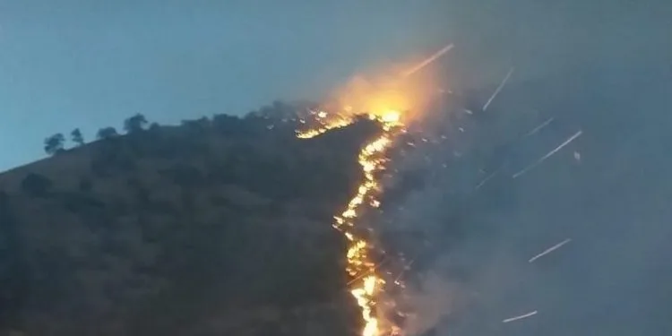 Tunceli’deki örtü yangını kontrol altında