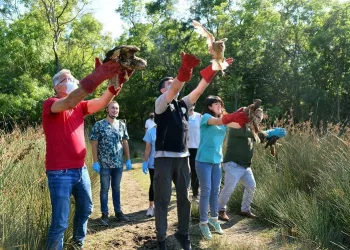 Bursa’da tedavileri tamamlanıp doğaya salındılar