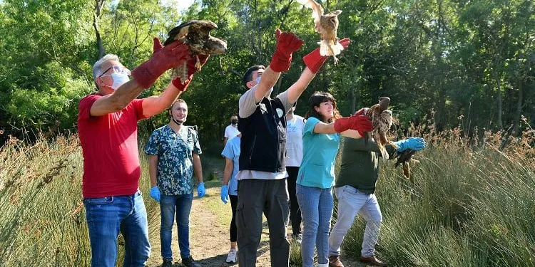 Bursa’da tedavileri tamamlanıp doğaya salındılar