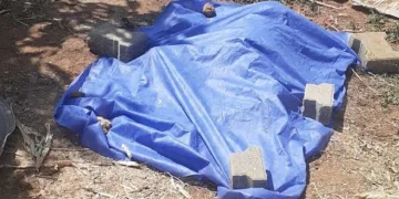 Denizli’de foseptiğe düşen 5 yaşındaki Abdullah hayatını kaybetti