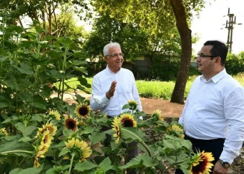Bursa’da ‘Tıbbi ve aromatik bitkiler bahçesi’ örnek olacak