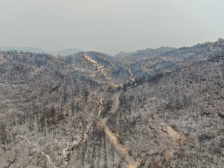 Manavgat'ta söndürülen alanlar havadan görüntülendi