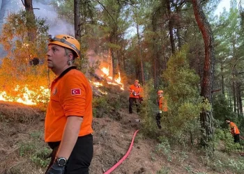 Yıldırım Belediyesi ekipleri yangın bölgesinde mücadelesini sürdürüyor