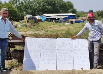 Giderlerini kalem kalem yazdılar ama… “Domates sadece tarlada ucuz”