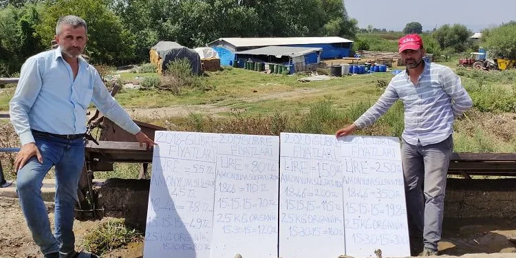 Giderlerini kalem kalem yazdılar ama… “Domates sadece tarlada ucuz”
