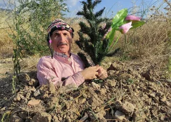 Toprağı kazıp kendini diri diri gömdü… Nedeni ise şaşırttı