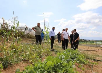 Gemlik Belediyesi ikinci serayı kuruyor