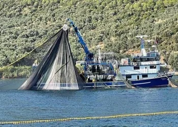 Bursa’da denize deneme ağları atıldı