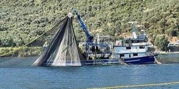 Bursa’da denize deneme ağları atıldı