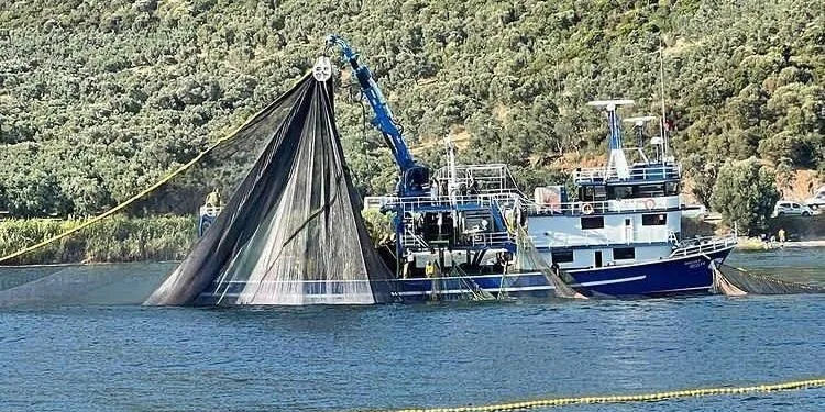 Bursa’da denize deneme ağları atıldı