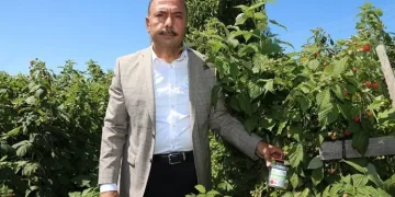 Bursa Orhaneli’de sirke sineğine karşı köylülere tuzak dağıtıldı