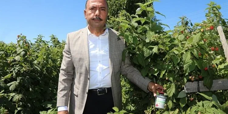 Bursa Orhaneli’de sirke sineğine karşı köylülere tuzak dağıtıldı