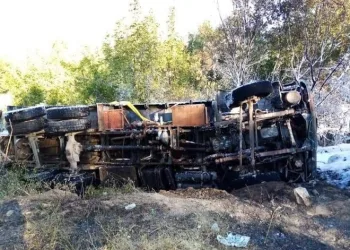 Bursa’da freni boşan kamyon ormanda alev adı