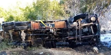 Bursa’da freni boşan kamyon ormanda alev adı