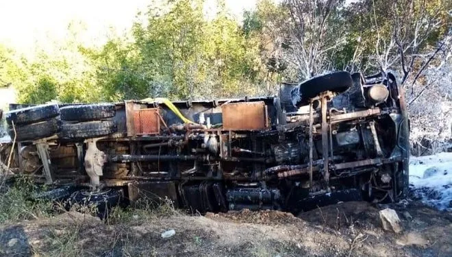 Bursa’da freni boşan kamyon ormanda alev adı