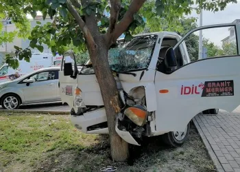 Kasiste kontrolden çıktı ağaca çarparak durabildi