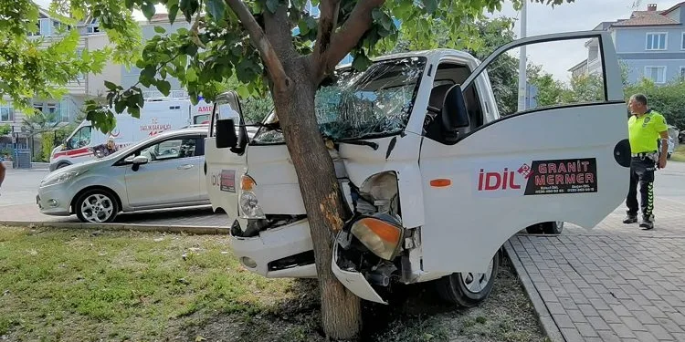 Kasiste kontrolden çıktı ağaca çarparak durabildi
