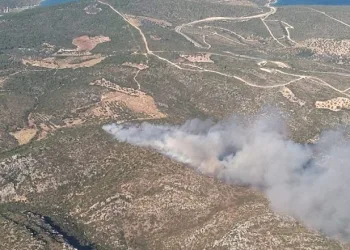 İzmir’de 2 ayrı noktada orman yangını