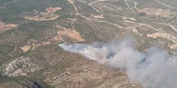 İzmir’de 2 ayrı noktada orman yangını