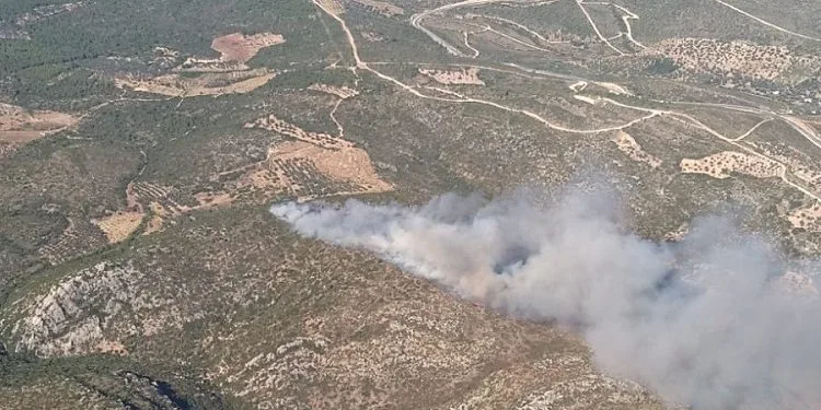 İzmir’de 2 ayrı noktada orman yangını