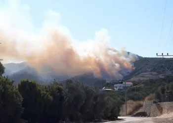 Bursa’da 2 ayrı noktada orman yangını