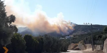 Bursa’da 2 ayrı noktada orman yangını