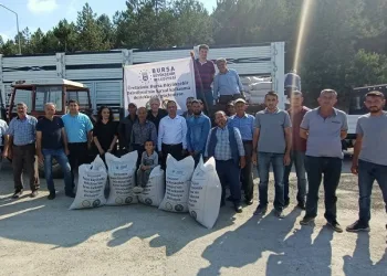 Bursa’da besiciye yem desteği