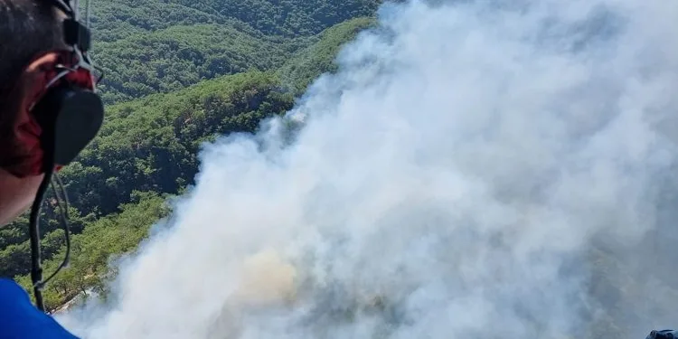 Kazdağları’nda orman yangını!