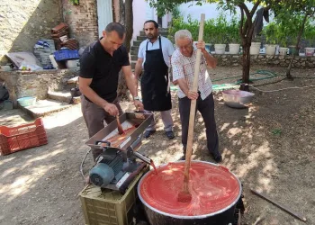 Ev ev gezip salça çekiyor