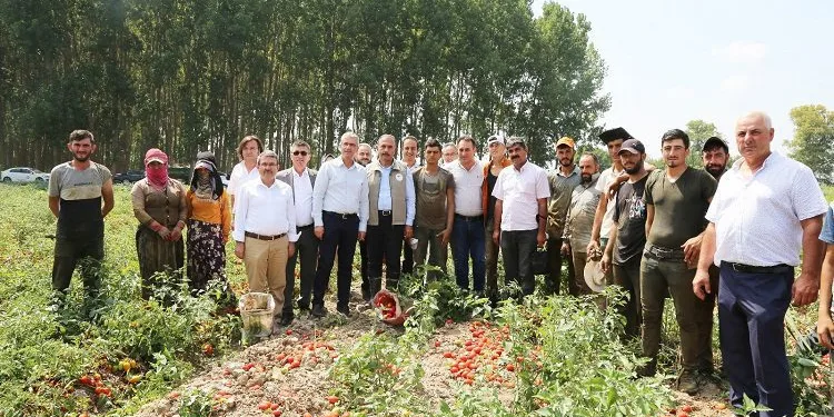 Bursa’da domates hasadında salça fabrikalarına çağrı