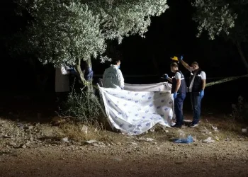 Bursa’da 15 yaşındaki genç zeytinlikte ölü bulundu