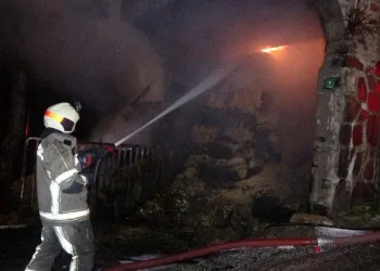Orman yangını sanıldı, çiftlik yangını çıktı
