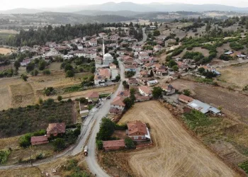 Bursa’da görenleri hayran bırakıyor! 300 yıla kadar ömrü oluyor