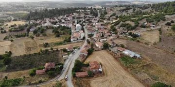 Bursa’da görenleri hayran bırakıyor! 300 yıla kadar ömrü oluyor