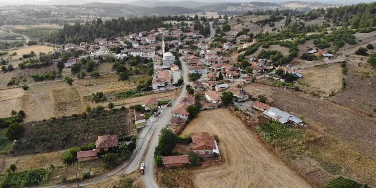 Bursa’da görenleri hayran bırakıyor! 300 yıla kadar ömrü oluyor