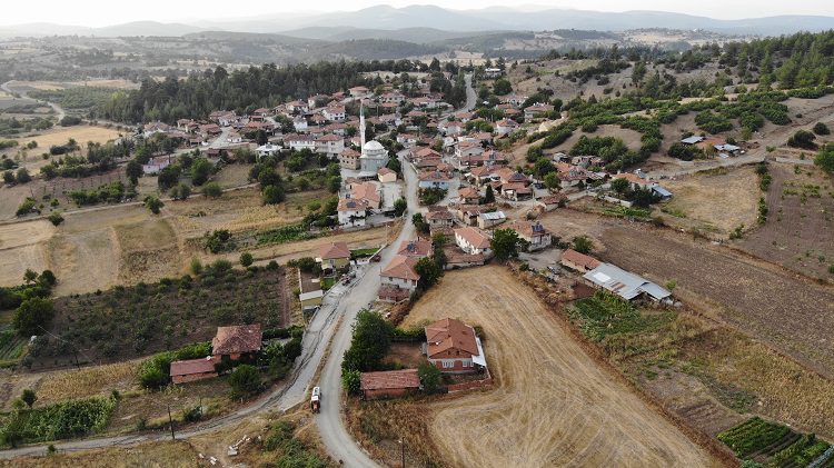 Bursa'da görenleri hayran bırakıyor! 300 yıla kadar ömrü oluyor