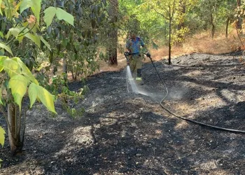 Bursa’da hızlı müdahale ormanı kül olmaktan kurtardı
