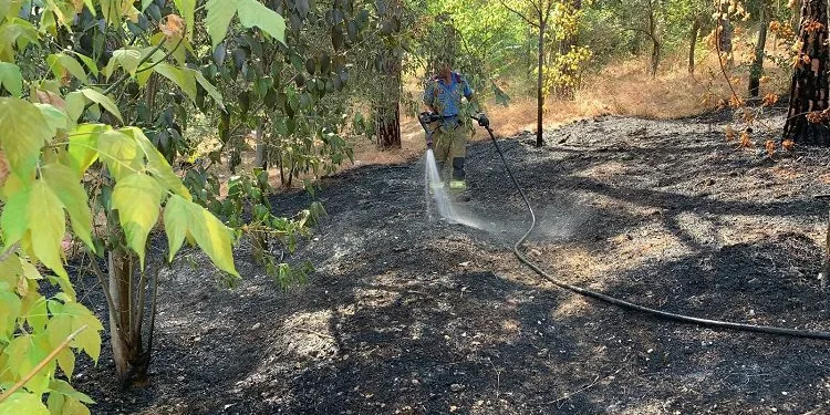 Bursa’da hızlı müdahale ormanı kül olmaktan kurtardı