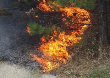Bursa Mudanya Kavşağı’nda korkutan yangın