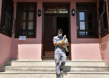 Yaralı leylek dünyanın ilk hayvan hastanesinde şifa buldu