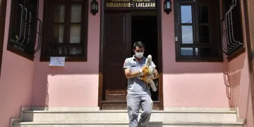 Yaralı leylek dünyanın ilk hayvan hastanesinde şifa buldu